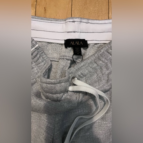 Alala metallic heather grey pants - Picture 4 of 9